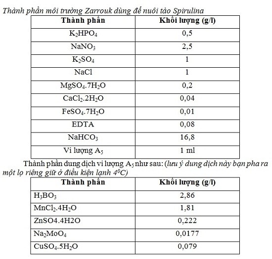 tảo xoắn spirulina