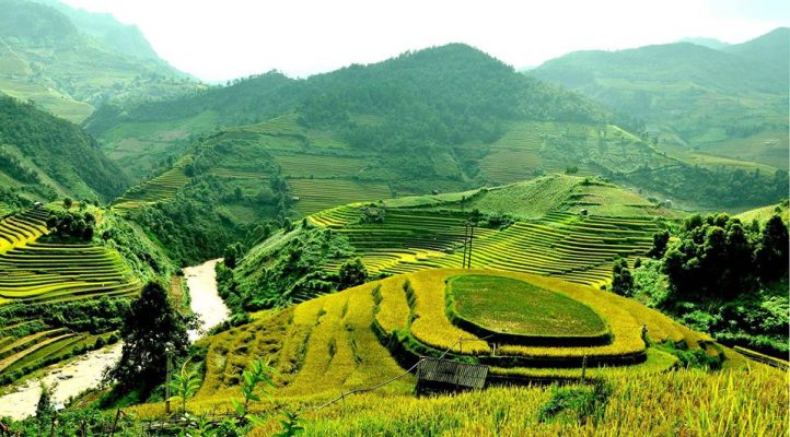 Phân loại chất thải gây ô nhiễm môi trường thiên nhiên