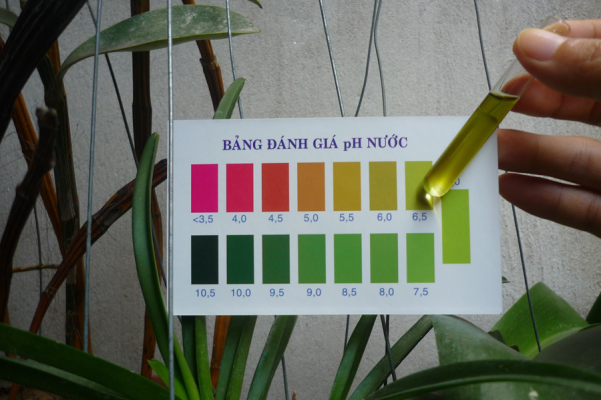 Phương pháp xác định độ kiềm trong nước thải