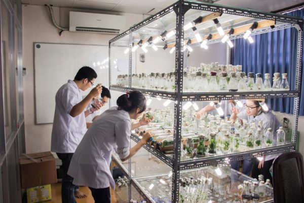 Quy trình thực hiện lập báo cáo quan trắc môi trường định kỳ theo thông tư 43