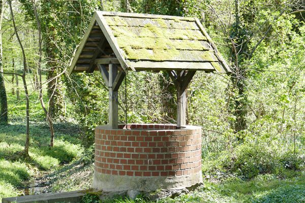 5 dấu hiệu cho thấy bạn nên kiểm tra nguồn nước giếng trước khi sử dụng