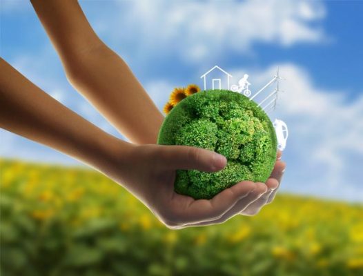 Những quy định về thẩm định báo cáo đánh giá tác động môi trường