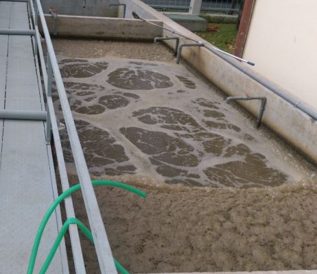 Phân tích đặc tính thành phần nước thải chăn nuôi