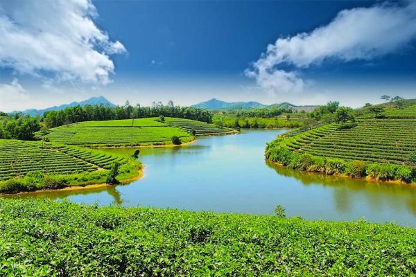 đất-nông-nghiệp