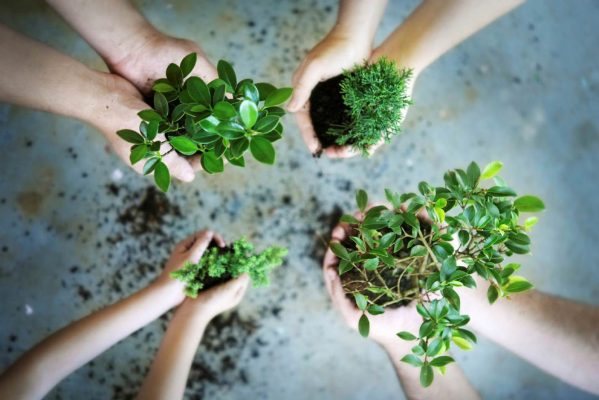 Các mức phạt khi không lập báo cáo quan trắc môi trường định kỳ