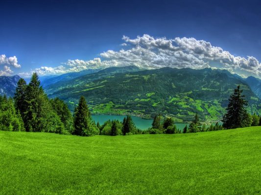 Lập báo cáo đánh giá tác động môi trường: Cơ sở và cách thực hiện