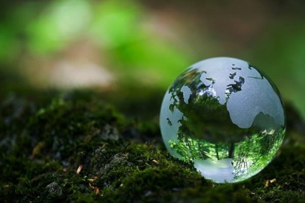 Thực hiện tư vấn hồ sơ môi trường cho doanh nghiệp