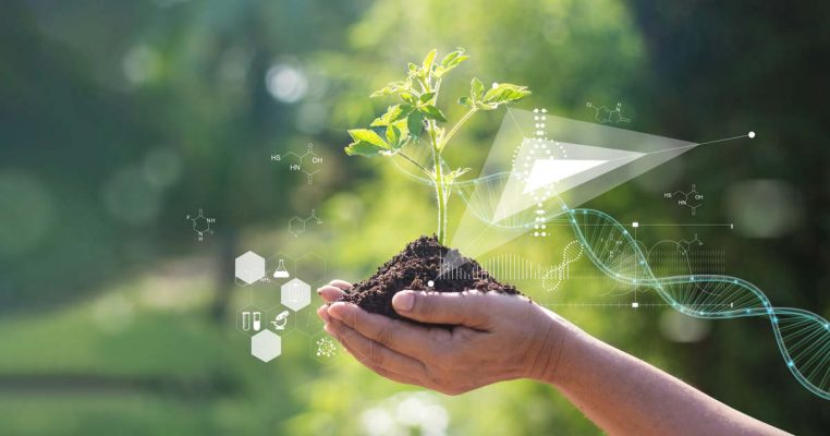 Dự án nào phải thực hiện đánh giá tác động môi trường?