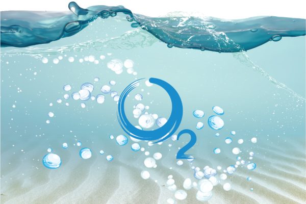 Dissolved-Oxygen-–-DO