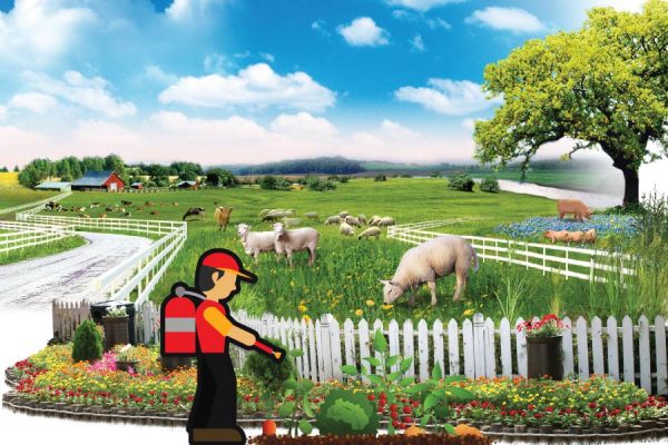 Hóa-chất-bảo-vệ-thực-vật-BVTV