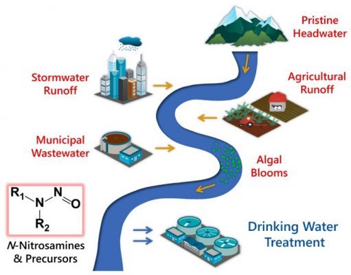 Nhiễm Amoni trong nước