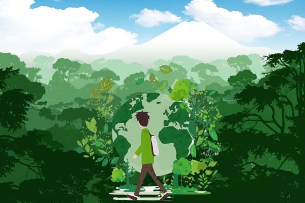 kiểm-kê-khí-nhà-kính-trong-lĩnh-vực-rừng-và-đất-lâm-nghiệp